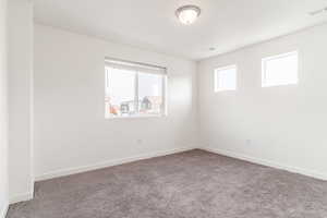 Unfurnished room with carpet and a healthy amount of sunlight