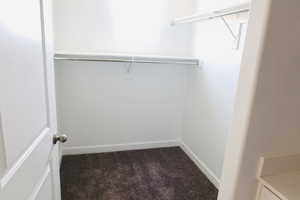 Spacious walk-in closet with dark colored carpet