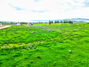 View of yard featuring a mountain view and a rural view