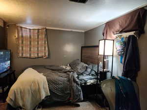 Bedroom with carpet floors and a textured ceiling