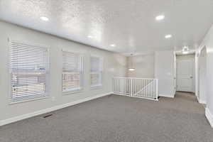 Family Room looking North, carpet, a textured ceiling, natural light