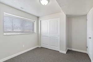 bedroom featuring carpet flooring, a closet, and a textured ceiling