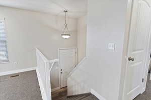 Staircase with carpet floors