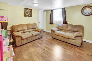 Living room featuring wood-type flooring