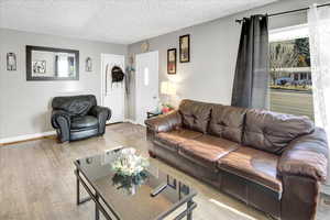 Living room with wood-type flooring and a textured ceiling