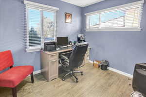 Office with light hardwood / wood-style floors and a wealth of natural light