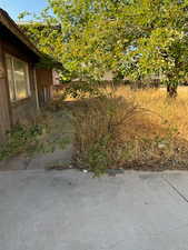 Front door walk way