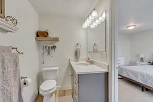 Full bathroom, attached to primary suite, featuring wood-type flooring, vanity, and toilet