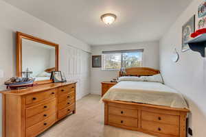 Carpeted bedroom featuring a closet