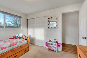 Carpeted bedroom featuring a closet and multiple windows