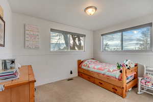 Bedroom with light carpet