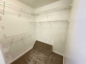 Master Bedroom Walk in Closet