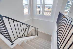 Stairs with carpet floors and baseboards
