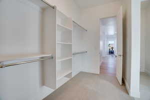 Spacious closet featuring light colored carpet