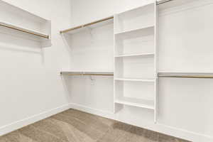 Spacious closet featuring carpet flooring