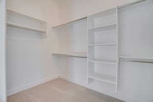 Spacious closet featuring light carpet