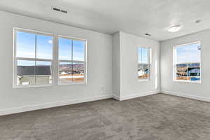 Carpeted empty room with plenty of natural light and a textured ceiling