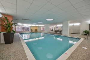 Indoor swimming pool.