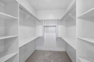 Walk in closet featuring light carpet