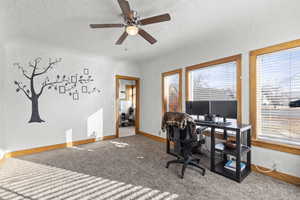 Carpeted office with ceiling fan and a textured ceiling