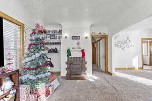 Carpeted living room featuring a textured ceiling and a wood stove