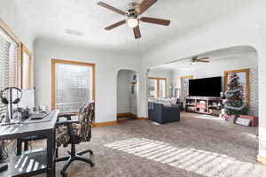 Office space featuring carpet, a textured ceiling, and a wealth of natural light