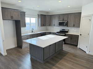 Kitchen featuring dark hardwood / wood-style floors, a center island, sink, and stainless steel appliances