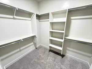 Walk in closet with carpet flooring