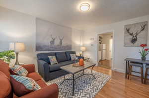 Living room featuring light hardwood / wood-style flooring