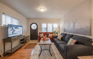 Living room with a wealth of natural light and light hardwood / wood-style flooring