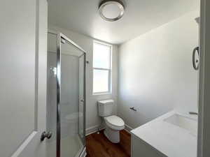 3/4 Bathroom featuring a shower with door, vanity, wood-type flooring, and toilet