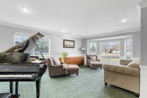 Living room featuring carpet floors, a textured ceiling, and ornamental molding