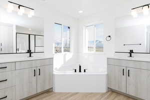 Bathroom with plus walk in shower, vanity, and hardwood / wood-style flooring