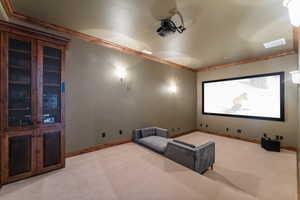 Carpeted cinema room featuring ornamental molding