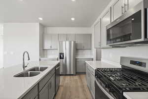 Kitchen with sink, gray cabinets, light hardwood / wood-style floors, and appliances with stainless steel finishes