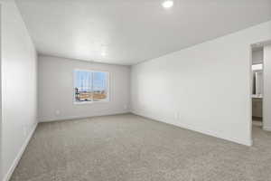 Unfurnished room with carpet floors and a textured ceiling