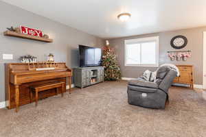 Living room featuring carpet