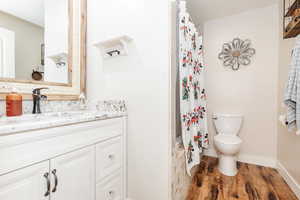 Bathroom featuring a shower with shower curtain, vanity, wood-type flooring, and toilet