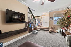 Carpeted living room with ceiling fan, ornamental molding, and a textured ceiling