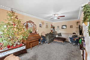 Carpeted living room with crown molding, ceiling fan, and a textured ceiling