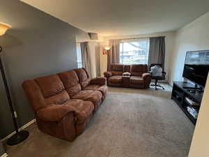 Carpeted living room featuring a textured ceiling