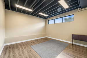 Basement featuring hardwood / wood-style flooring