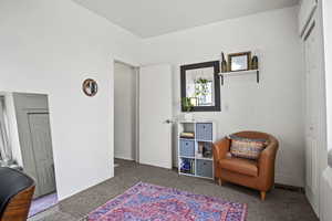 Sitting room with dark carpet