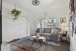 Living room with carpet floors