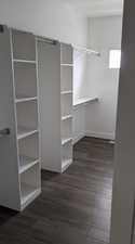 Walk in closet featuring dark wood-type flooring
