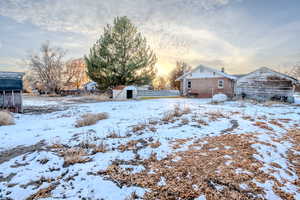 Yard covered in snow featuring a shed