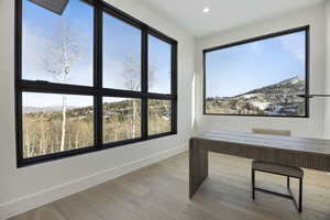 Unfurnished office with a mountain view and light wood-type flooring