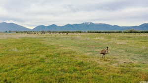 View of mountain feature featuring a rural view