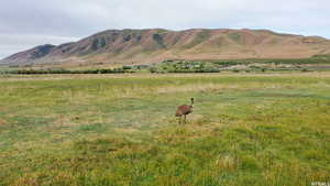 Property view of mountains with a rural view