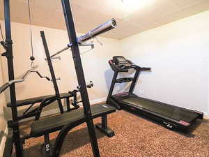 Exercise area featuring carpet